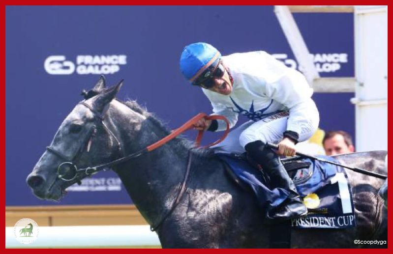 🏆 Félicitations au Haras de Mandore pour la belle victoire de CH'EZZA, dans The President of the UAE Cup - Coupe d'Europe des chevaux Arabes, Groupe 1 PA sur l' Hippodrome de @paris_longchamp  !!! 💯
#guardianofthethoroughbred #RaceAndCare #vivelelevagefrancais #BreedInFrance