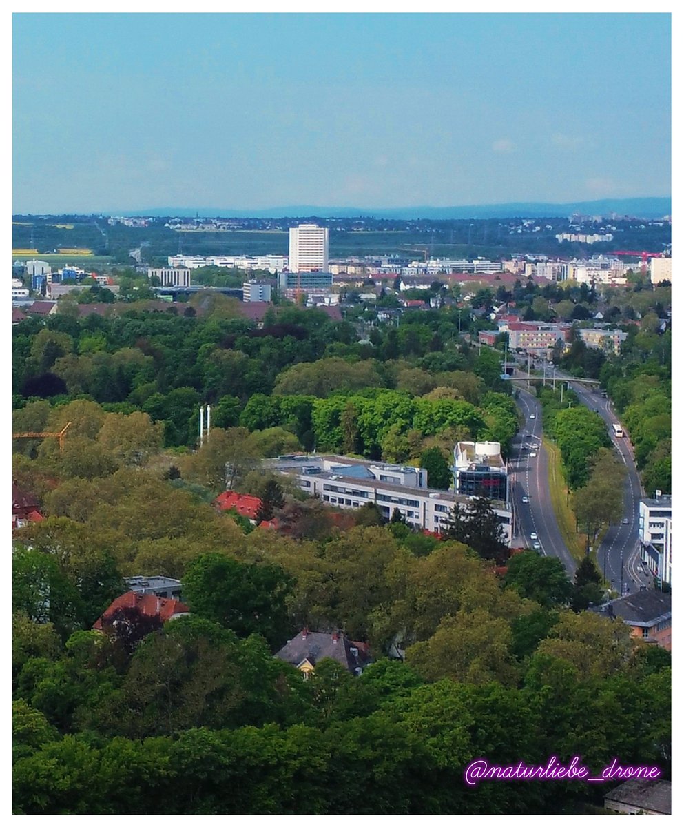 Mainz 🙂 🦅🛸

#naturliebe_drone #naturliebedrone #mainz #mainzliebe #stadt #stadtreise #reise #reisen #reisereise #fotostadt #arhitecture #arhitektura  #droneflying #germany #deuschland #drone #droneshots #dronefly #dronepilot #dronepilots #dronefoto #fotodrone #dronedaily