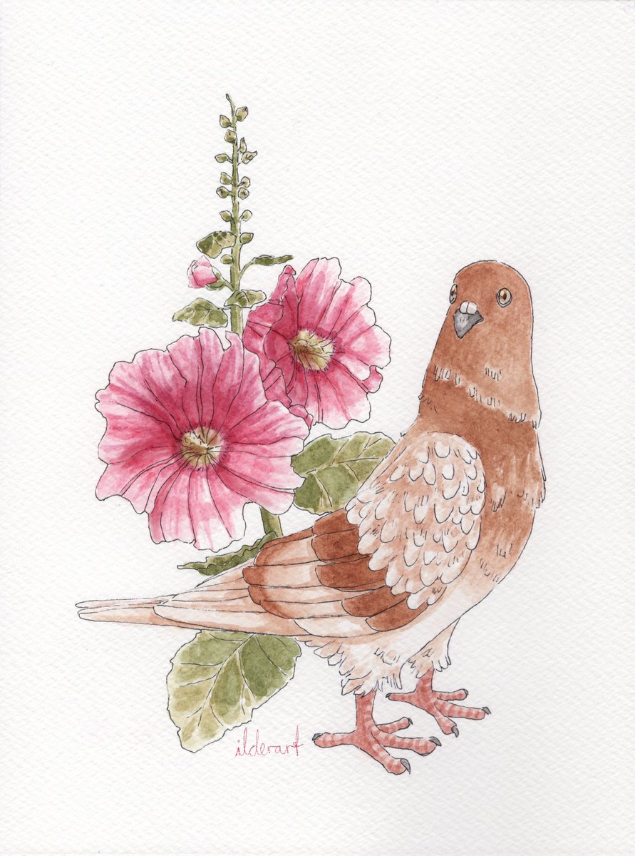 ilderart's tweet photo. A Silver Birmingham Roller with hollyhocks. 🩷 https://t.co/yxZBsZKoZD