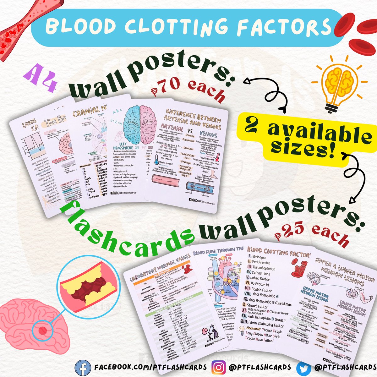 PTFlashcards's tweet image. BLOOD CLOTTING FACTORS 💡

Contents: Please Swipe LEFT for more 📲

#Anatomy #PhysicalTherapy #PTknows #MedicalFacts #Studygram #PTreviews #Medicine #Coagulation #Bloodclottingfactors