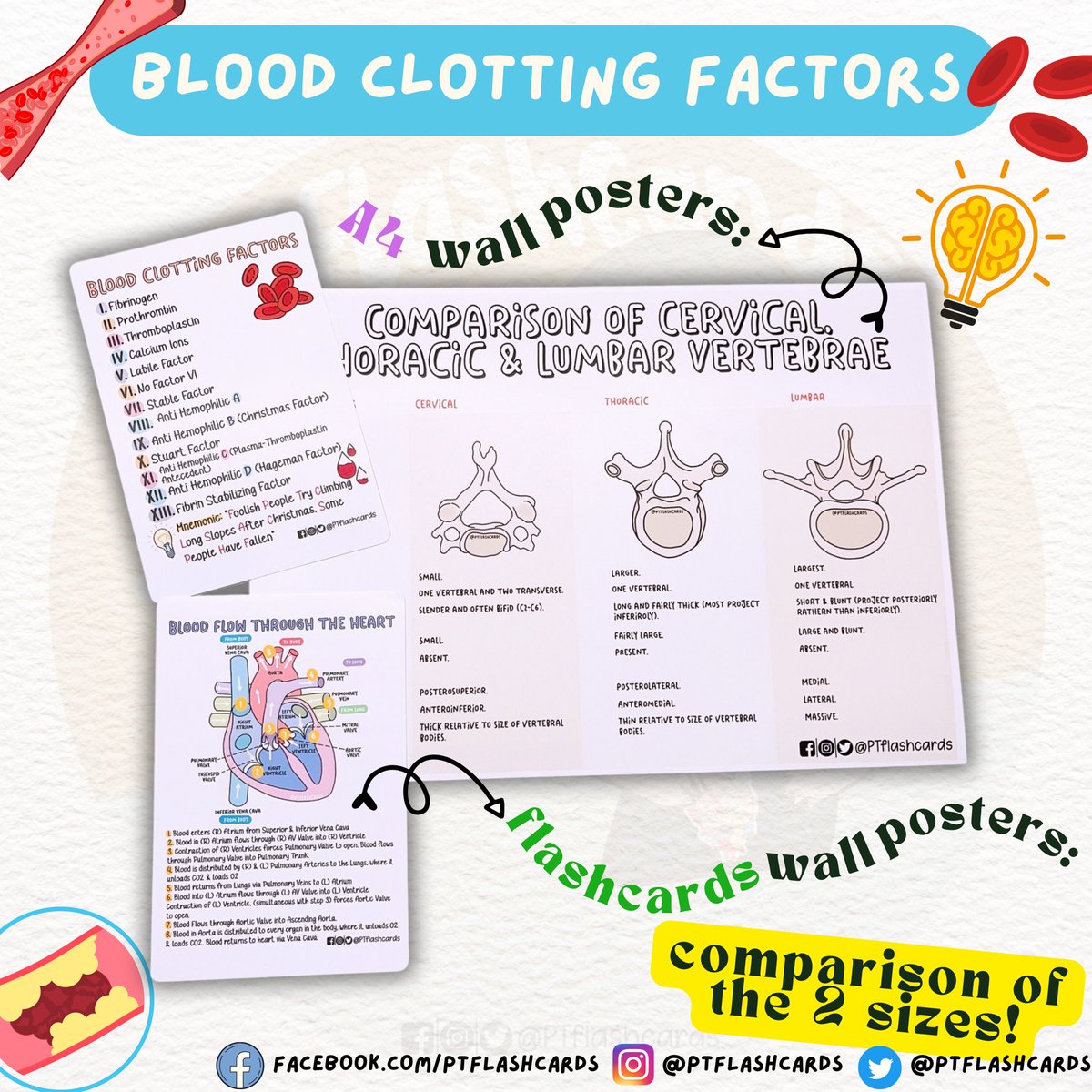 BLOOD CLOTTING FACTORS 💡

Contents: Please Swipe LEFT for more 📲

#Anatomy #PhysicalTherapy #PTknows #MedicalFacts #Studygram #PTreviews #Medicine #Coagulation #Bloodclottingfactors