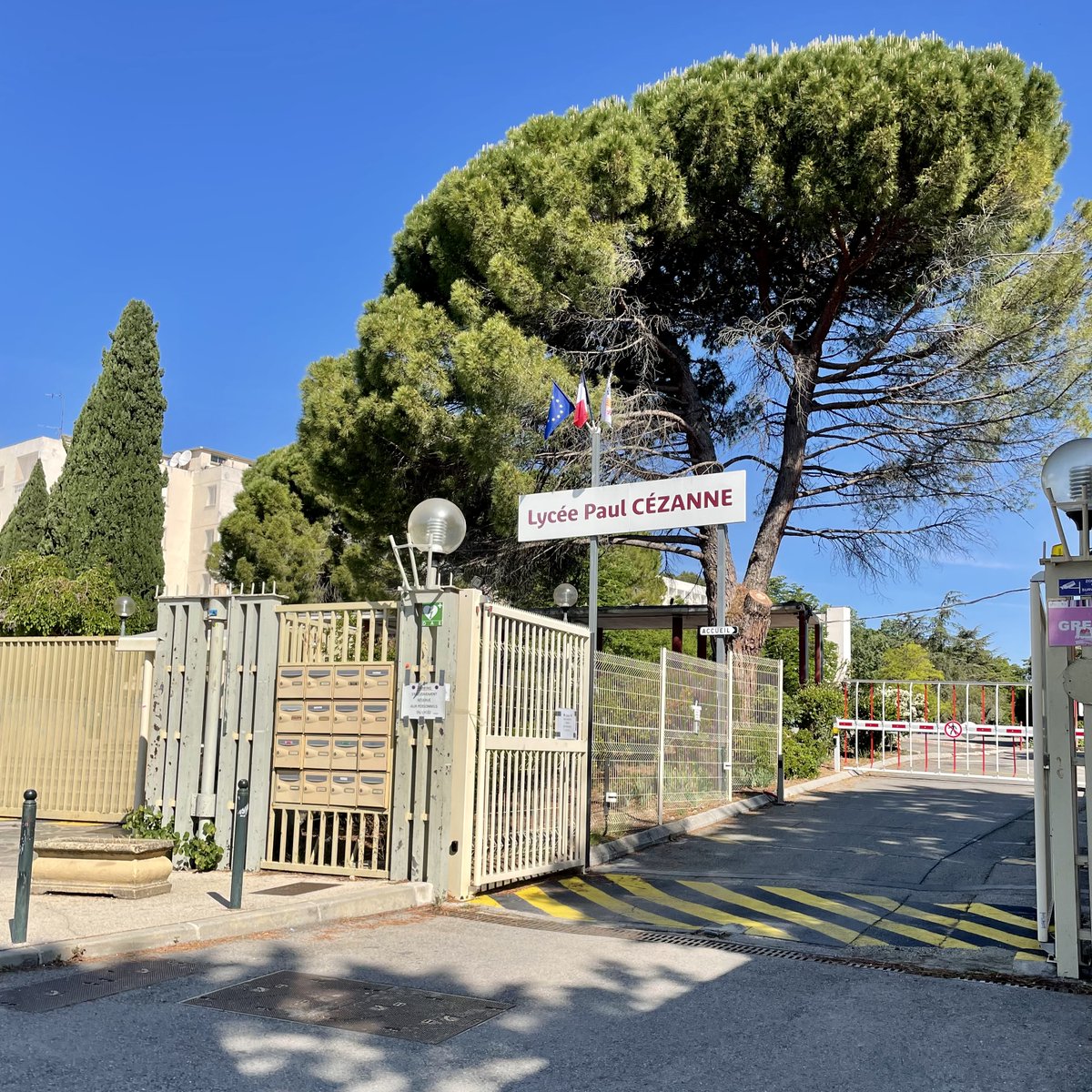 L. Pignatel tweet media