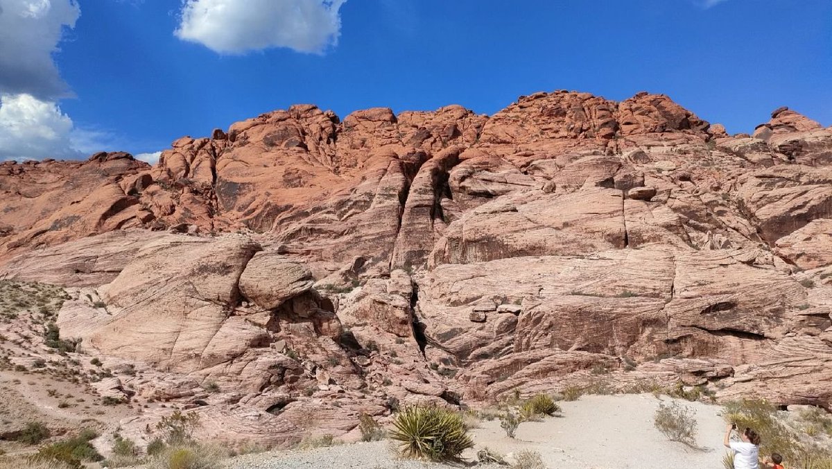 Happened today, on an excursion.😄😄😄☘️
#Photography #NevaState #RedRockCanyon #Hiking #Travel