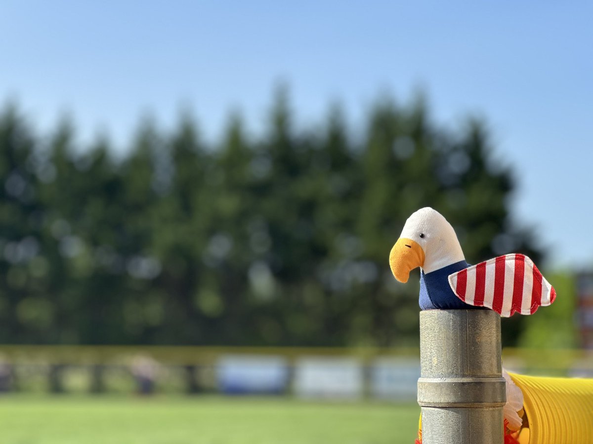 2023 Liberty Softball Out ✌🏽