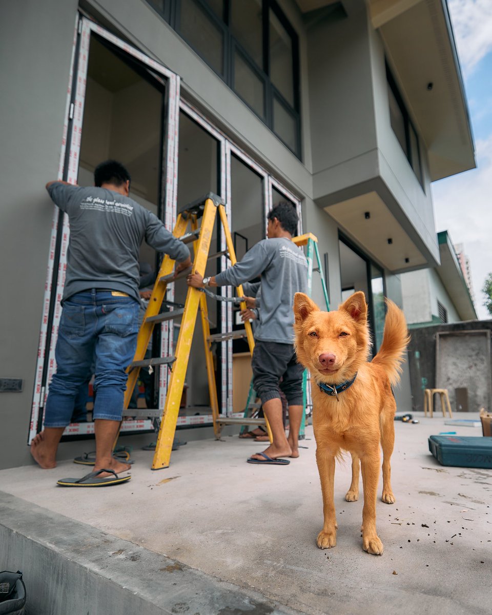 AndrewGPLAA's tweet photo. 🐶🏡 https://t.co/skEAYZ0EdX