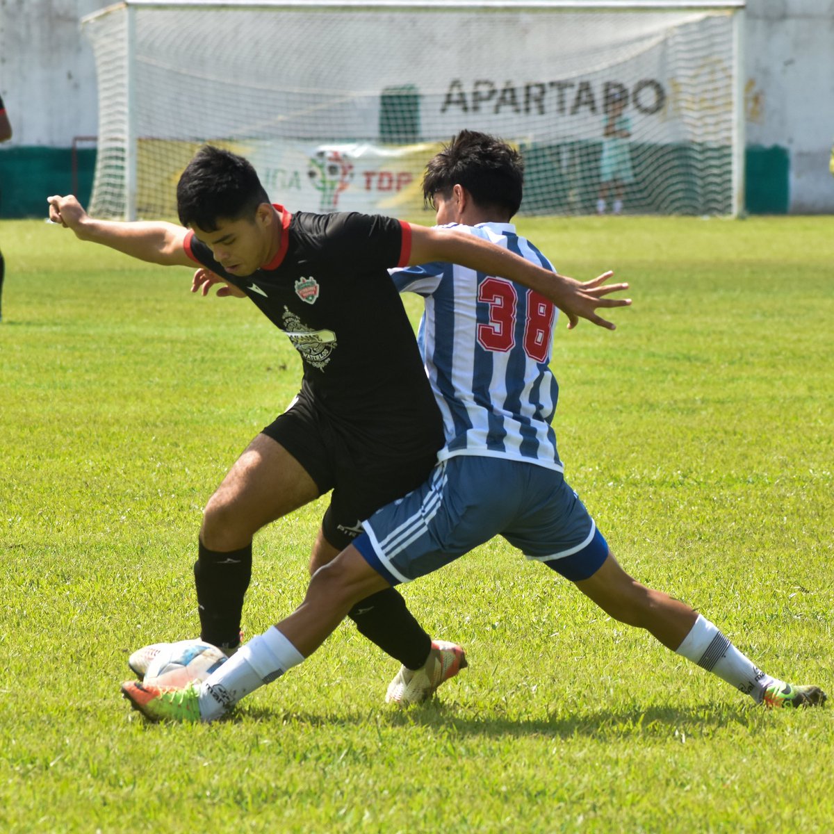 ¡LO VUELVE A HACER! 🤩

<a href="/OFICIALCFPPR/">Club de Fútbol Petroleros de Poza Rica ((OFICIAL))</a> fueron mejores en los once pasos para ganar el pase al ascenso como hace 41 años 🤩

Para saber mucho más aquí 👉🏽 bit.ly/3BM7YFv

#HastaSerCampeón