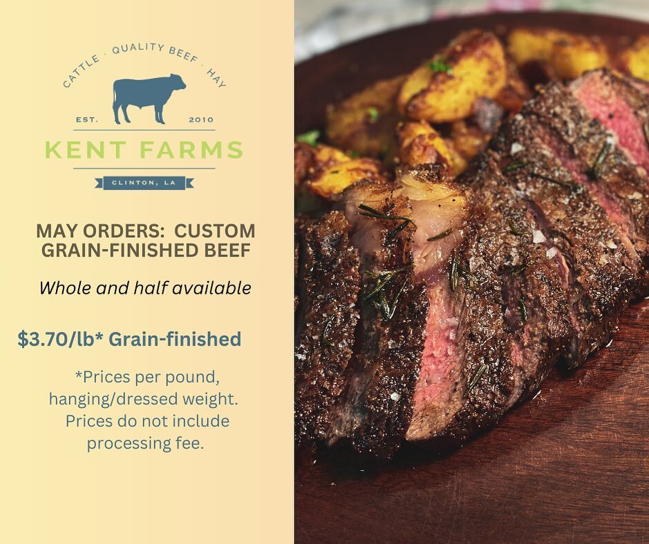 📣📣📣 ANNOUNCEMENT 📣 📣📣

We have a whole and a half grain-finished beef available for harvest next week. Time is of the essence, and this is the last of the current inventory ready for harvest. We won’t harvest again until the fall.  Contact Amelia… instagr.am/p/CsSfUz2u9mb/