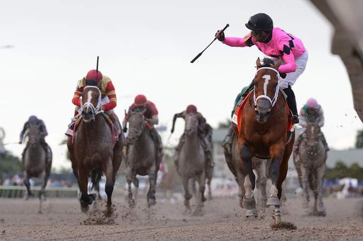 marspenny69oo's tweet image. Day 15 of #MaximumSecurity month!