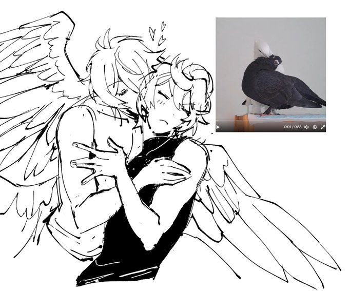 keep thinking abt that pigeon vid i rt'd