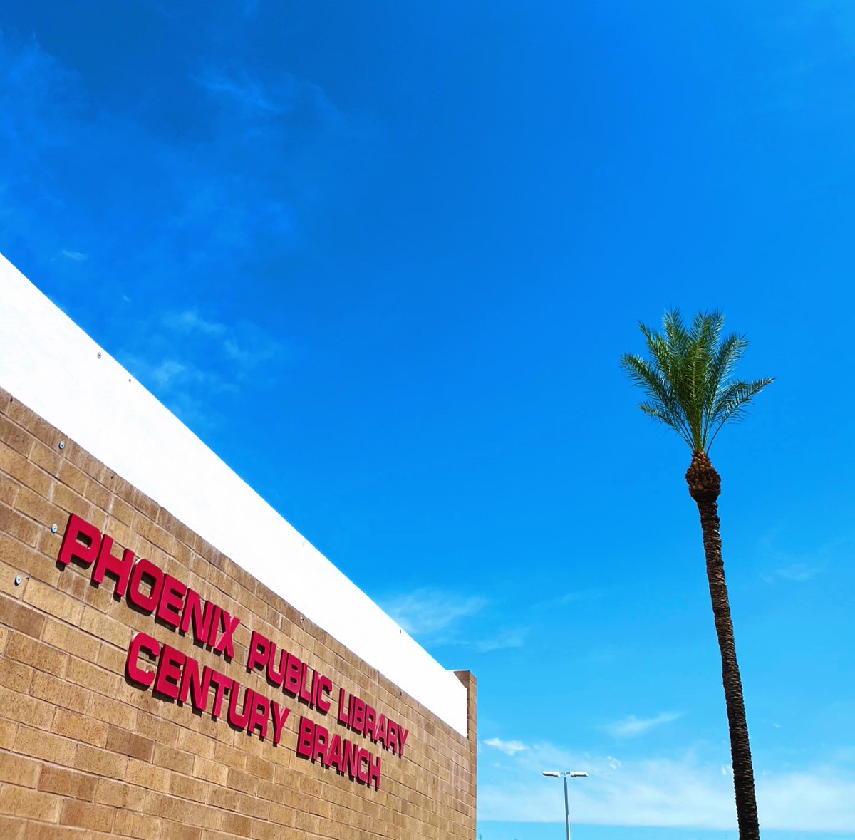 PhxLibrary's tweet image. It&apos;s warming up! 🌼 Why not discover a different #PhoenixPublicLibrary location? No need to go far to visit this midtown branch, which is conveniently on the AZ-51. Check it out. Visit us! bit.ly/3vNgO0b #CenturyLibrary #JustReadPPL #PHX