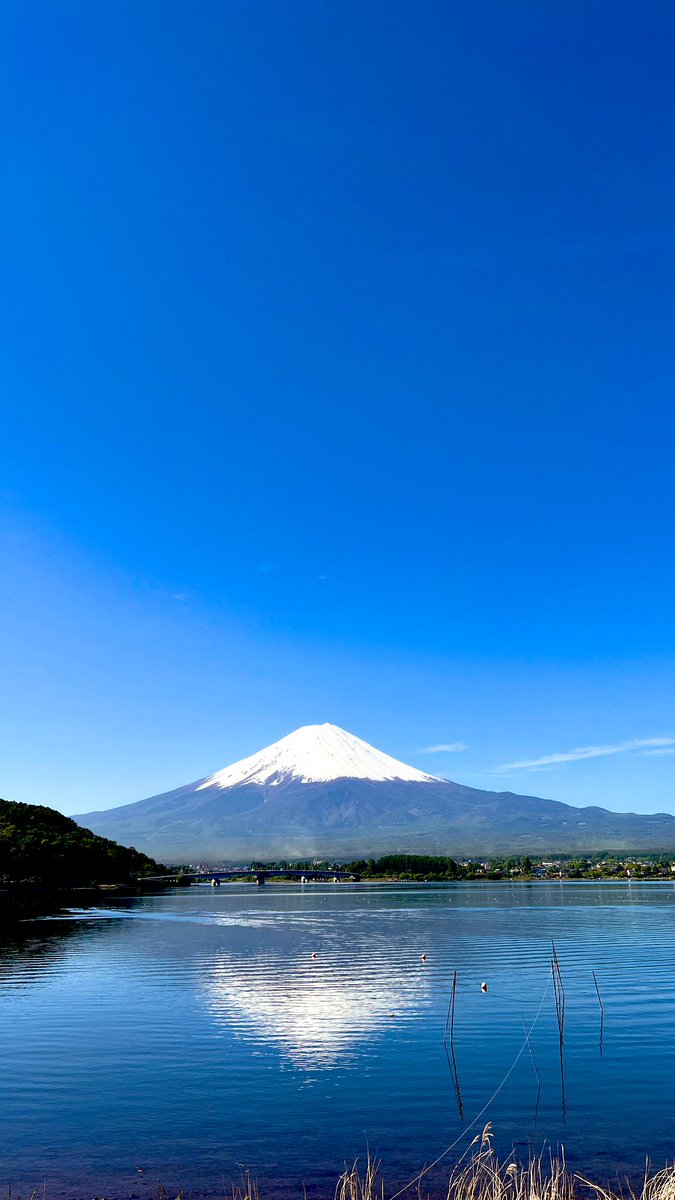 富士山の麓で、何が起ころうとしているのか😎