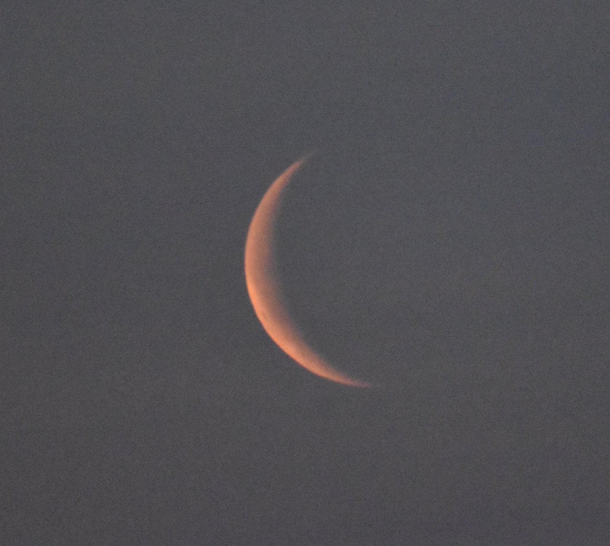 Tuesday morning #newtownmountkennedy #ThePhotoHour #moon #wicklow #Ireland.