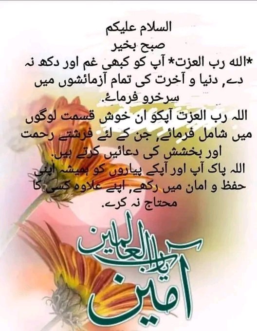 @noorfatima100