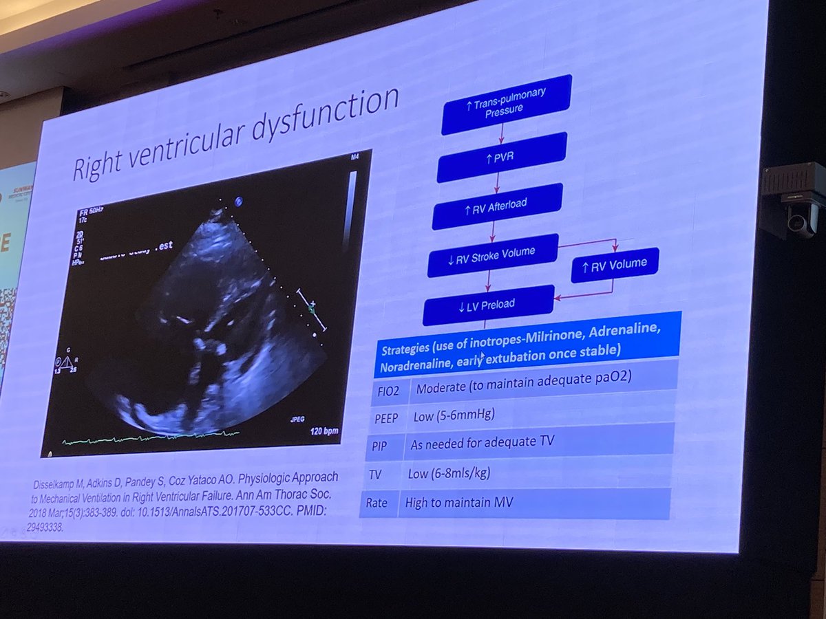 PravinPICU's tweet photo. Dr Soo Kok Wai brilliantly explains cardiopulmonary interactions and ventilation of children w cardiac problems in #PedsICU #PICMasterclass https://t.co/1ATqWpY0Fi