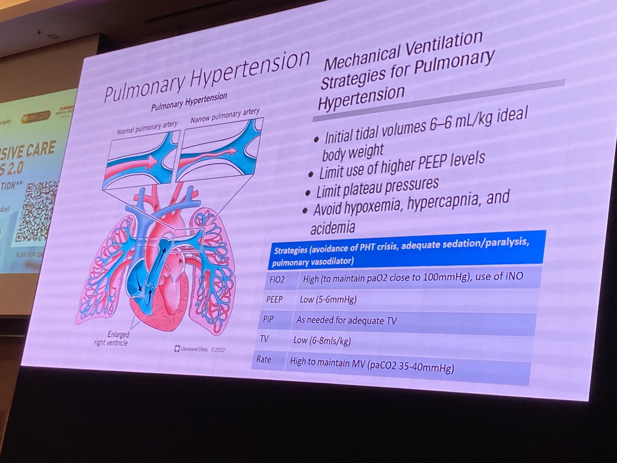 PravinPICU's tweet photo. Dr Soo Kok Wai brilliantly explains cardiopulmonary interactions and ventilation of children w cardiac problems in #PedsICU #PICMasterclass https://t.co/1ATqWpY0Fi