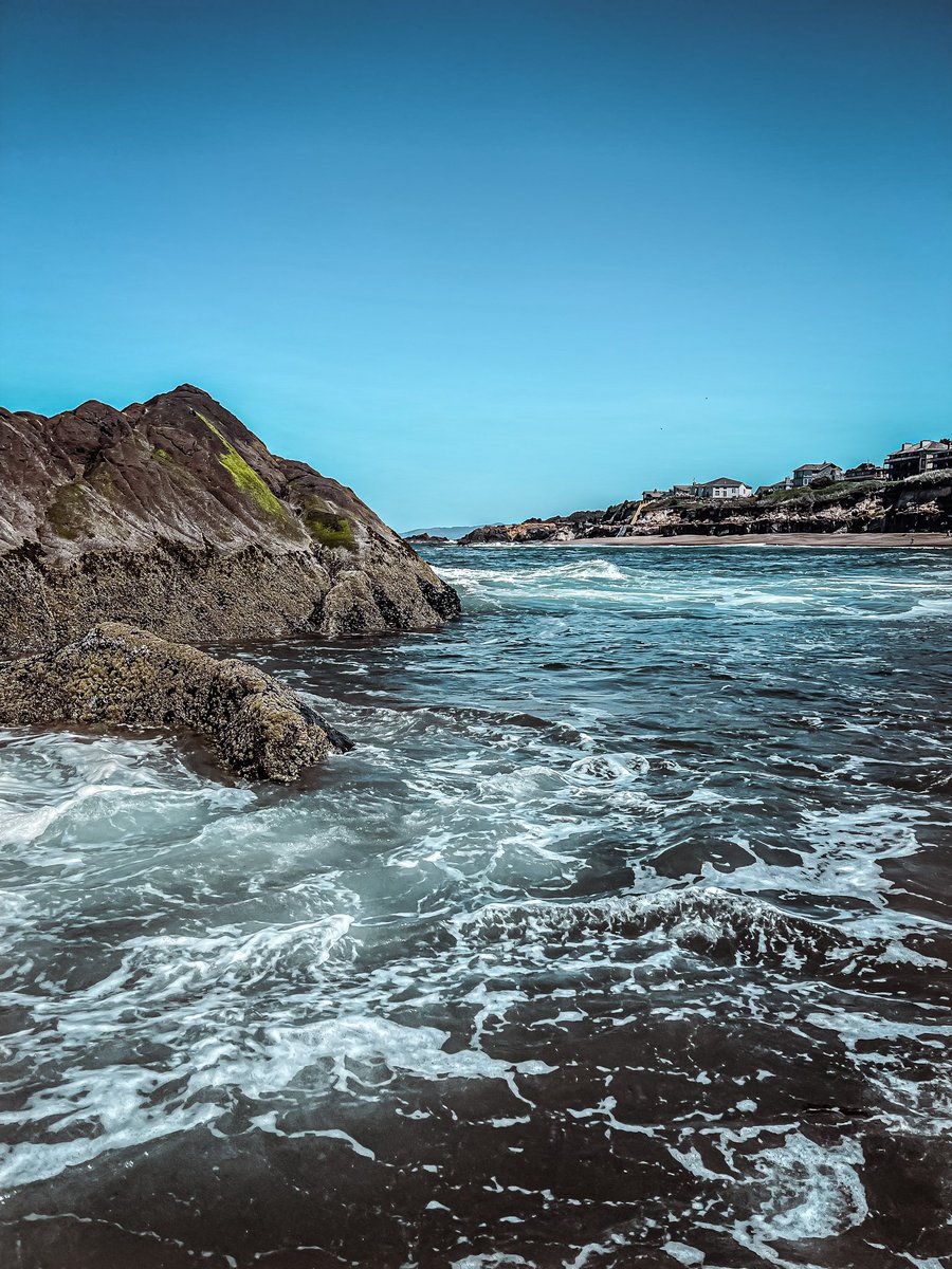 WildflowerGab's tweet photo. #Pacificocean #oregon #oregoncoast #westcoast #leftcoast https://t.co/ROD3cYYILO