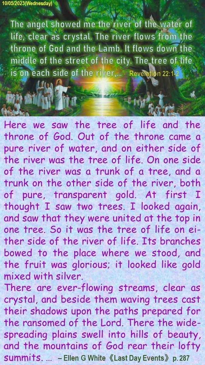 DigitalSDA's tweet photo. The angel showed me the river of whater of life, clear as crystal. The river flows from the throne of God and the Lamb. It flows down the middle of the street of the city. The tree of life is on each side of the river. Revelation 22:1-2 https://t.co/oNpT19XHy7