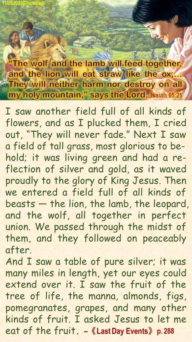 DigitalSDA's tweet photo. The wolf and the lamb will feed together, and the lion will eat straw like the ox,... The will neither harm nor destroy on all my holy mountrain," says the Lord. Isaiah 65:25 https://t.co/2MHZPRDb4g