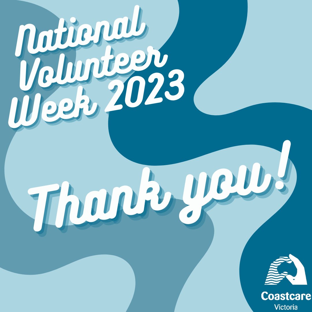 Happy National Volunteer Week! 
Year round, every marine and coastal volunteer works incredibly hard to protect the environment and educate the community. This is truly a time to recognise, celebrate and congratulate everyone on their hard work👏
#NVW2023 #ChangeMakers #Coastcare