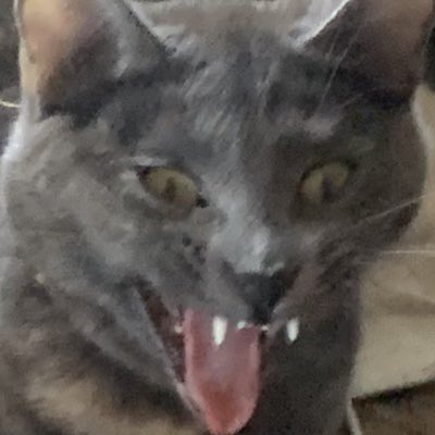 kamryndold's tweet photo. #NewProfilePic https://t.co/YGERXMMBH8