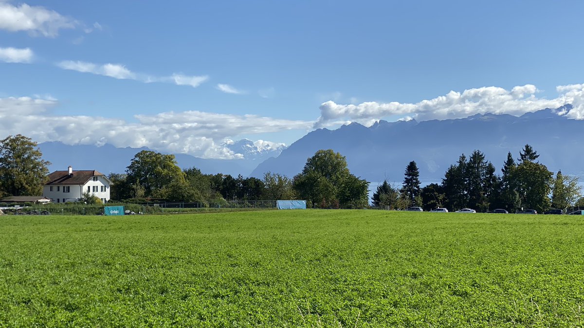 Natasha Glover (@gloveface) on Twitter photo We are looking for a postdoc in comparative genomics/bioinformatics! They will be working in a collaborative environment on an exciting project about synteny, orthology, evolution, gene loss and 🍅. Details: tinyurl.com/4fenkydr Please share! <a href="/DessimozLab/">Dessimoz Lab</a> @SebastianSoyk We are looking for a postdoc in comparative genomics/bioinformatics! They will be working in a collaborative environment on an exciting project about synteny, orthology, evolution, gene loss and 🍅. Details: tinyurl.com/4fenkydr Please share! <a href="/DessimozLab/">Dessimoz Lab</a> @SebastianSoyk