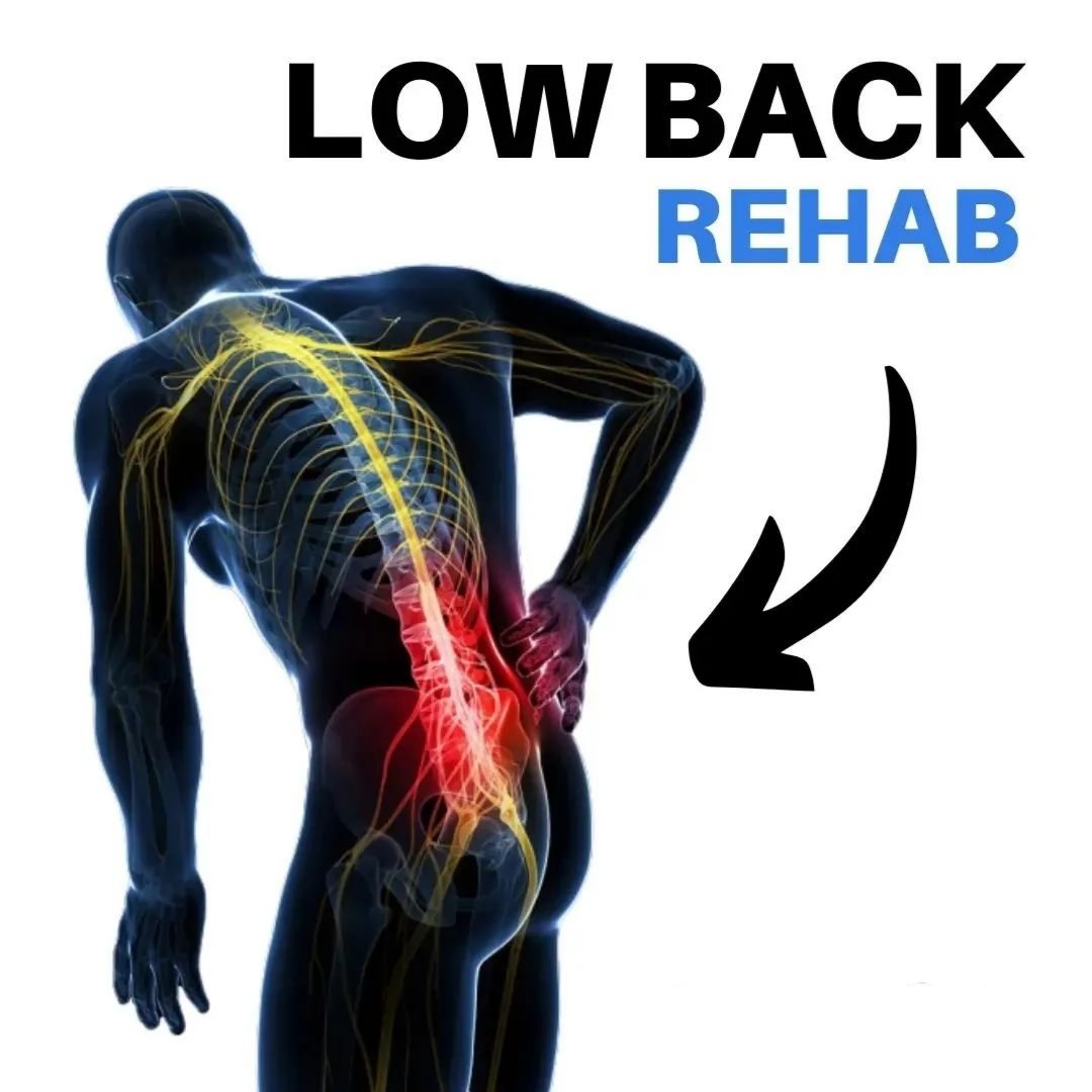 The_Life_Pad's tweet photo. Struggling with Lower Back Pain...
Save This https://t.co/QXYGtQLqZU