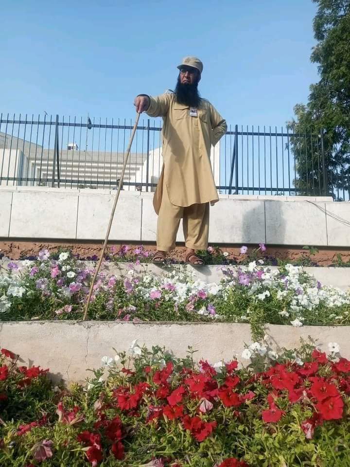 FarooqAdilRind's tweet photo. گزشتہ روز سپریم۔کورٹ کے سامنے احتجاج کے دوران پھولوں اور گملوں کی حفاظت کے لیے بھی کارکنان کھڑے ہیں اس زیادہ اور کیا تربیت چایئے؟
#PDMProtest #Islamabad https://t.co/gMTs0QDnBy