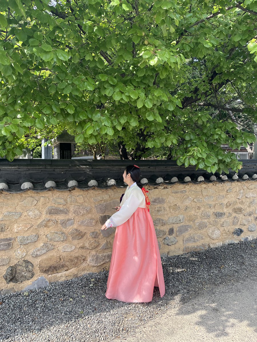 Joy_Redvelvet07's tweet photo. 文化体験館ではチマチョゴリも着れて、お茶の体験もできるのでおすすめ🤭
やっぱチマチョゴリって改めてみても可愛いよね🩷

#大邱パワフルフェスティバル #大邱観光 #visitdaegu #파워풀대구페스티벌 #대구관광 #제멋대로대구로드 #韓旅サポーターズ https://t.co/8i357kYZpg