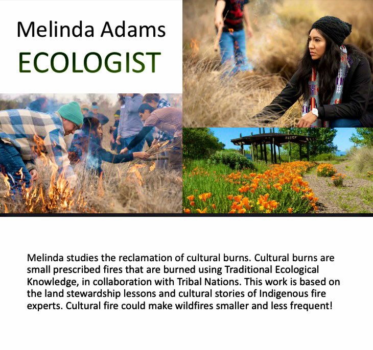 Hey new followers! Shí (I am) Melinda,  Apache professor at @UnivOfKansas where I lead my lab in fire research 🔥🌿 come study/ collab with me! 
Image: Sierra Nevada Journeys 
#goodfire #rxfire #INDIGENOUS #NativeTwitter #AcademicTwitter #AcademicChatter #WomenInSTEM #Science