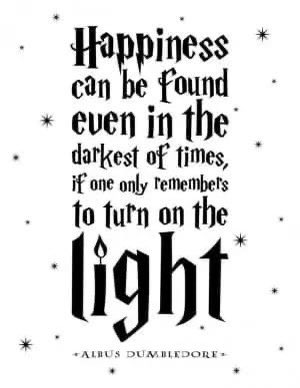 MR BUZZHARD tweet media