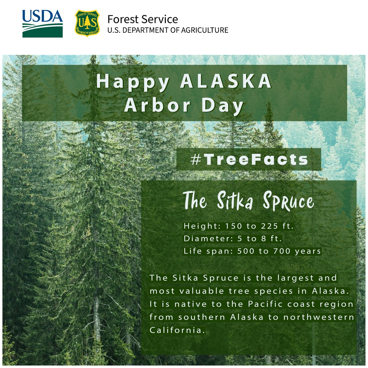 TongassNF's tweet image. Happy #Alaska Arbor Day! 
#Treefacts #Plantatree #Tongass