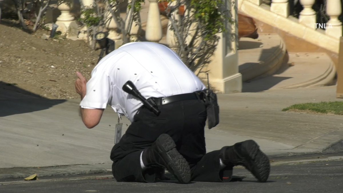 An LAPD volunteer officer was stung dozens of times and lost his footing as he was assisting with the response to a bee swarm in Encino abc7.la/455yvuA