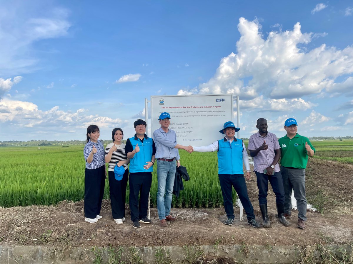KopiaUganda's tweet photo. The Director for KOPIA in RDA Korea, Dr. Chang Ancheol together with four other officials visit to the Orange model village project in Soroti and the Rice multiplication field in Doho on 13th May 2023, where they donated rice threshers and lemon seedlings to farmers. https://t.co/fq5ktnVFdG