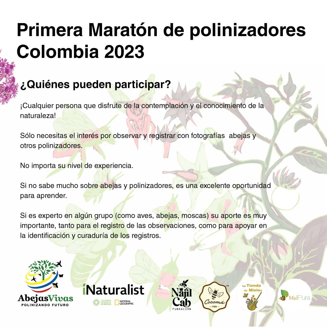 AbejasVivas's tweet photo. Primera maratón de polinizadores Colombia 2023 
Participar en fácil
Abra su cuenta en iNaturalist (https://t.co/B2VzKNw45O)
Regístrese en https://t.co/ckNtlp5g6q
Toda la info en:
https://t.co/PcprPRSyjc https://t.co/nNocn38jsK