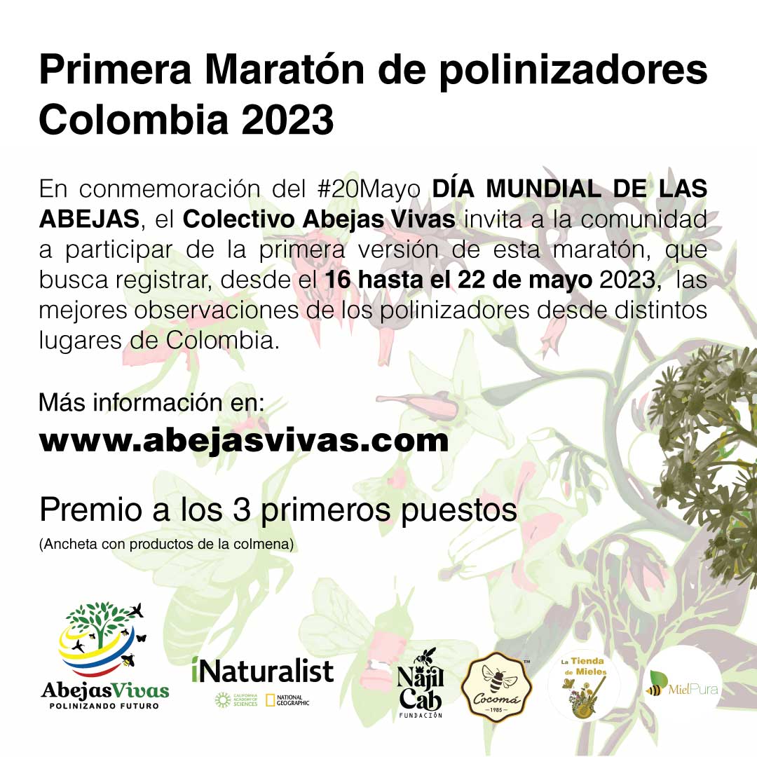AbejasVivas's tweet photo. Primera maratón de polinizadores Colombia 2023 
Participar en fácil
Abra su cuenta en iNaturalist (https://t.co/B2VzKNw45O)
Regístrese en https://t.co/ckNtlp5g6q
Toda la info en:
https://t.co/PcprPRSyjc https://t.co/nNocn38jsK