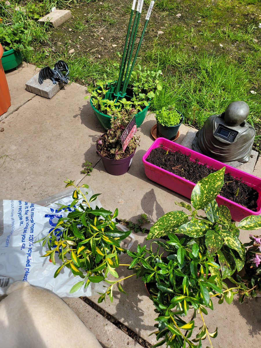 💖😍🪻Selina🪻😍💖 (@selina_twisted) on Twitter photo 