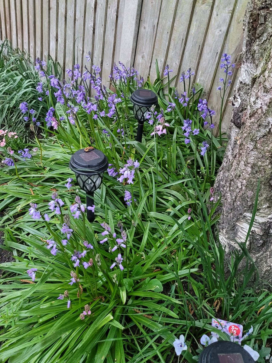 💖😍🪻Selina🪻😍💖 (@selina_twisted) on Twitter photo 