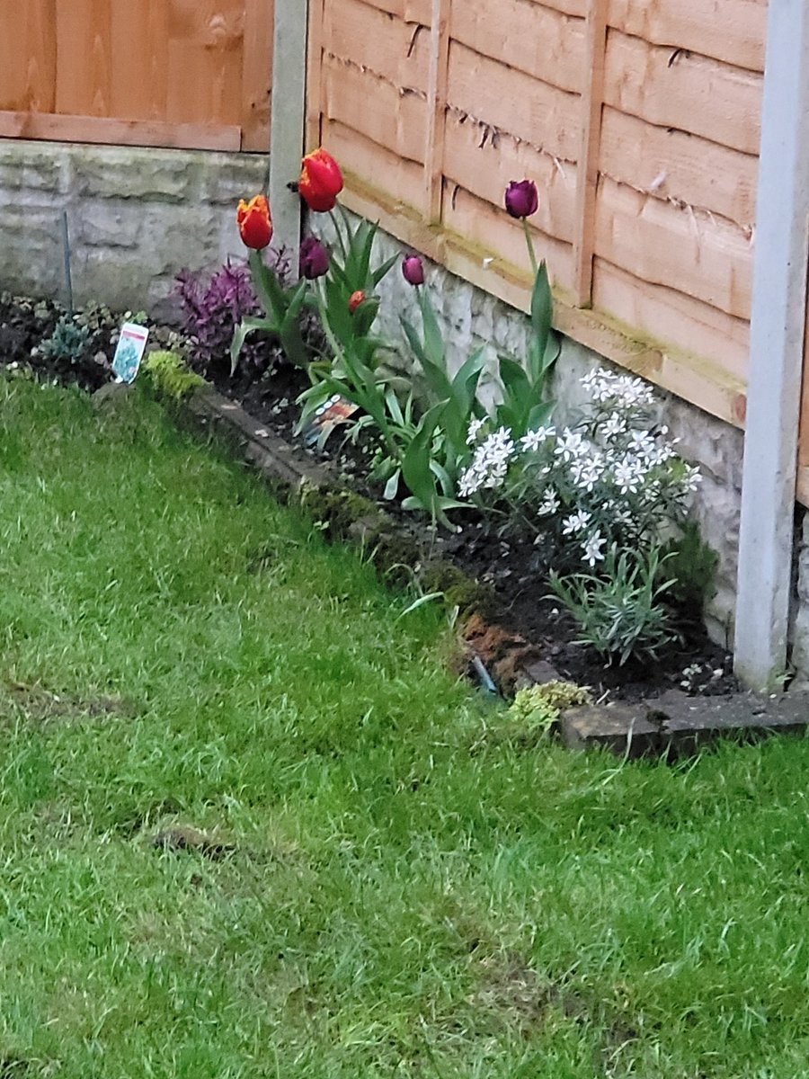 💖😍🪻Selina🪻😍💖 (@selina_twisted) on Twitter photo 