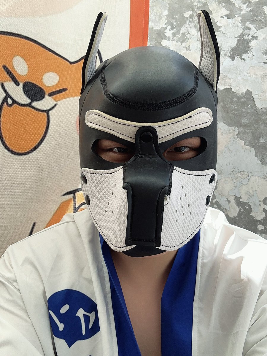 好久没来了，哪里有大点的头套卖呀🐶🐻