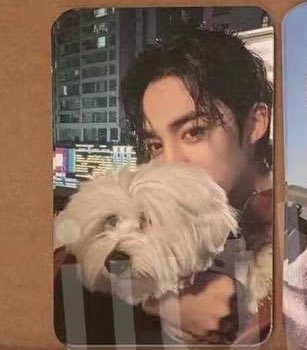 sounds_of_cheol's tweet photo. kkuma coups photocards 😭🤍 https://t.co/jBn1eQaCNS