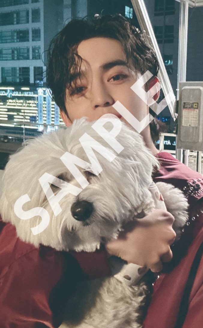 sounds_of_cheol's tweet photo. kkuma coups photocards 😭🤍 https://t.co/jBn1eQaCNS