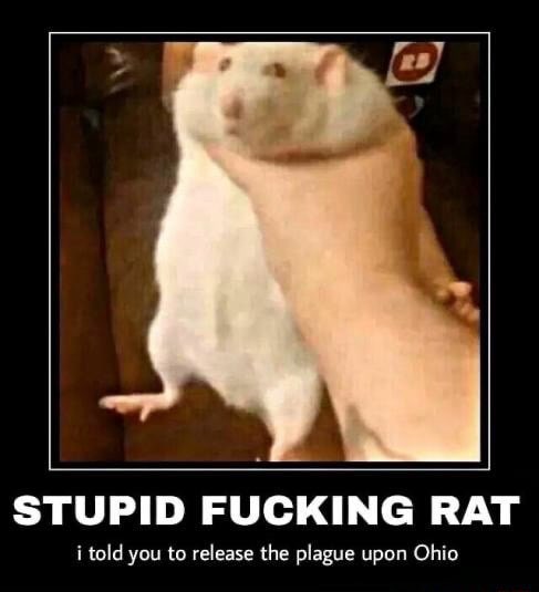 Plague Posting (@plagueposts) on Twitter photo 