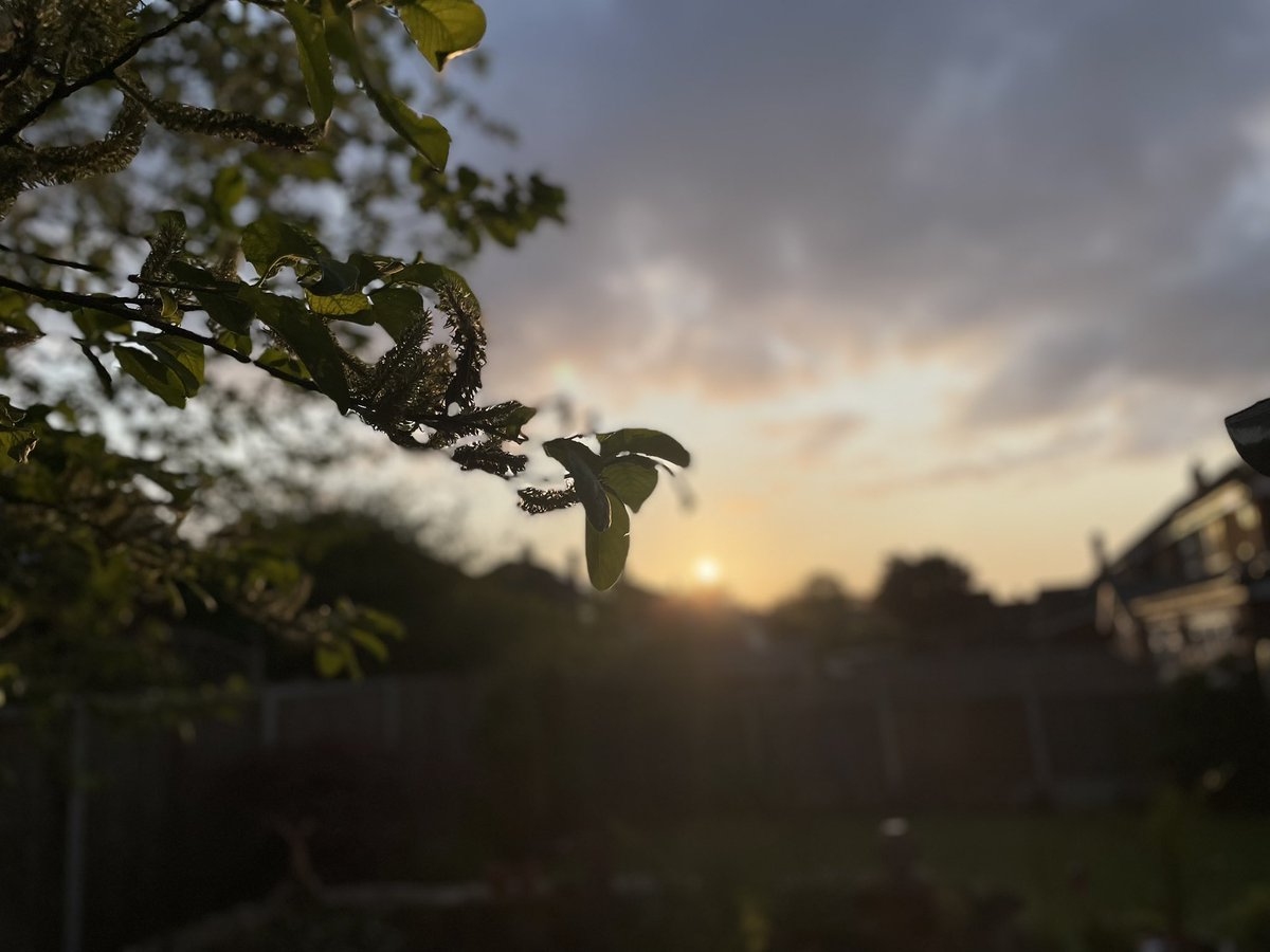 Morning sunrise!