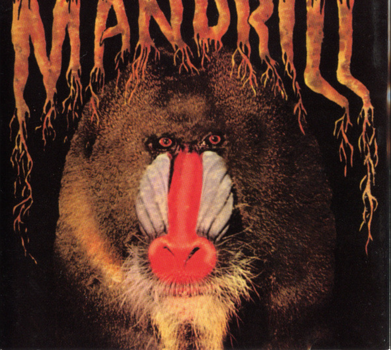 b2units's tweet photo. Mandrill  🇺🇸

Collectables 1998 (Polydor 1971)　

多数Sampling元から認識で

頭1発Band名曲
Latin percussion炸裂展開に
Cutting Guitar
Flute/Organ/Bibraphone挟み
激良く最高🆗✌️🎶
※日本/LÄ-PPISCH曲"美代ちゃんのXXX"が
クリソツ👀‼️

そういえば｢AUDIO SPORTS｣12's https://t.co/n84DJcJSyB