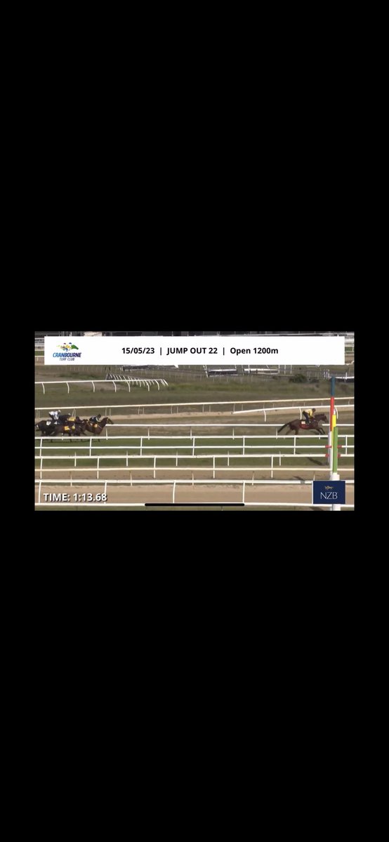 dunn_racing's tweet photo. One for trial files!⁦@Racing⁩, with Moe starting at 1pm and Vasmee in heat 22. I had no choice but to give the big fella a hit out myself 😂 https://t.co/ijJ8qAEIj9