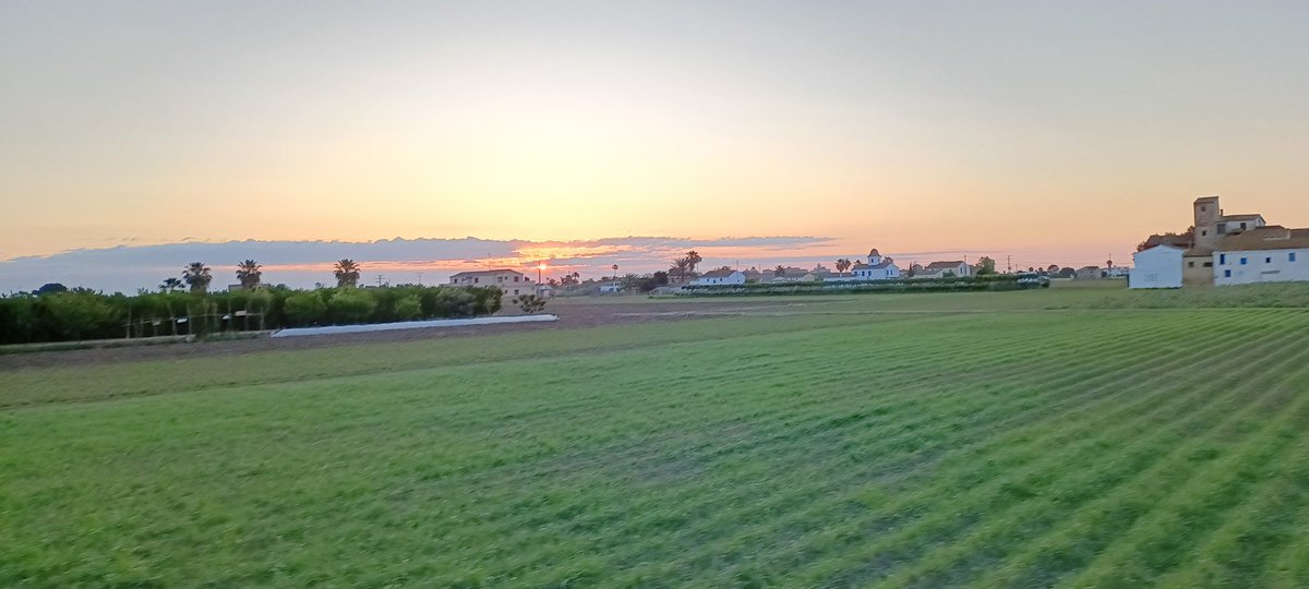 Ja tenim la xufa plantada...