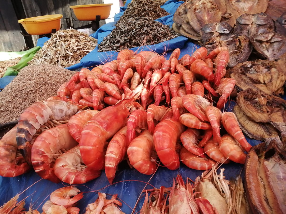 Ny saina foana no mandratra ny fo fa tsy ny hafa akory...