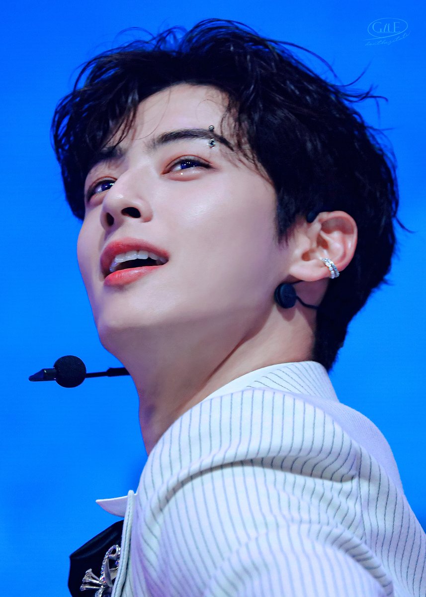 ๐๐๐ญ๐ tweet media