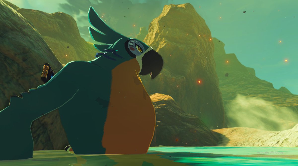 Kass is in ToTK, after you finish the main quest he's chilling in the goron hotsprings.