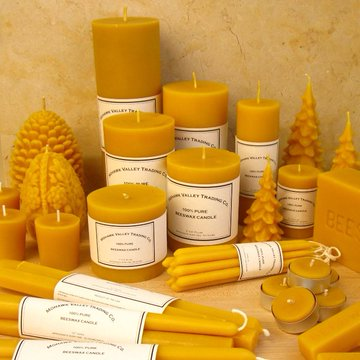 DAILY BEE FACTOID

#HoneyBees wax is true wax unlike paraffin, a petroleum byproduct. Beeswax is secreted from glands 2 build comb 4 brood rearing &amp;2 store food. It  is used in drugs, cosmetics, artists' materials, chocolate, furniture polish &amp; candles.

Please RT #savethebees